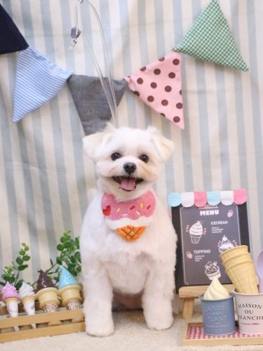 20250511うるちゃん